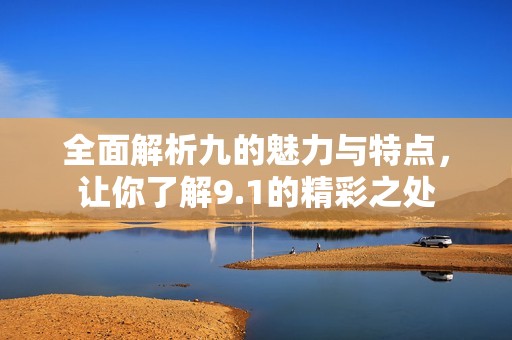全面解析九的魅力与特点，让你了解9.1的精彩之处