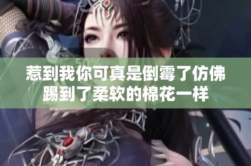惹到我你可真是倒霉了仿佛踢到了柔软的棉花一样