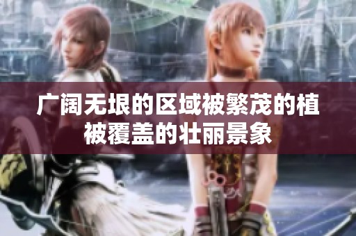 广阔无垠的区域被繁茂的植被覆盖的壮丽景象
