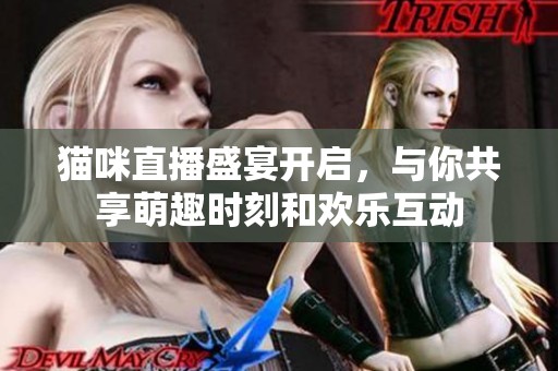 猫咪直播盛宴开启，与你共享萌趣时刻和欢乐互动