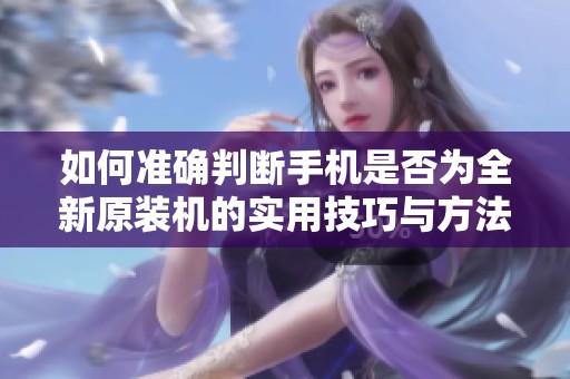 如何准确判断手机是否为全新原装机的实用技巧与方法