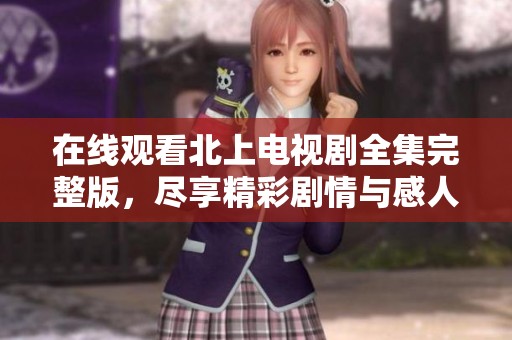 在线观看北上电视剧全集完整版，尽享精彩剧情与感人故事
