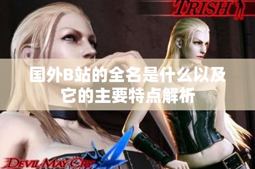 国外B站的全名是什么以及它的主要特点解析