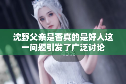 沈野父亲是否真的是好人这一问题引发了广泛讨论