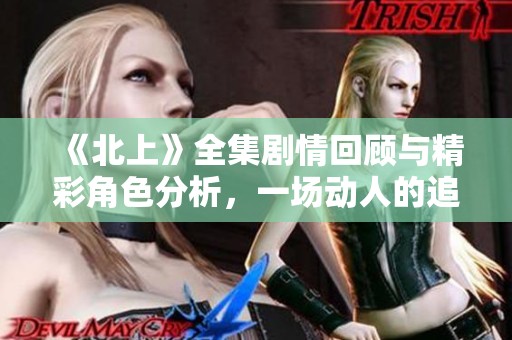 《北上》全集剧情回顾与精彩角色分析，一场动人的追梦之旅