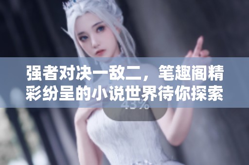 强者对决一敌二，笔趣阁精彩纷呈的小说世界待你探索