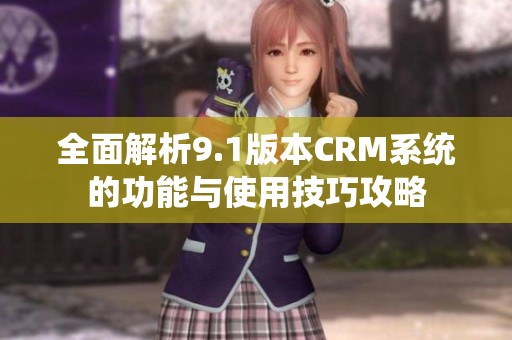 全面解析9.1版本CRM系统的功能与使用技巧攻略