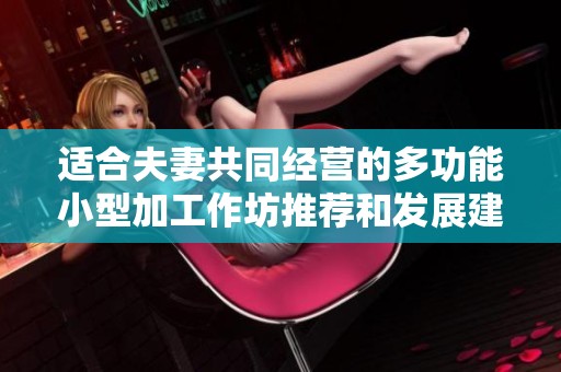 适合夫妻共同经营的多功能小型加工作坊推荐和发展建议