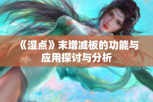《湿点》末增减板的功能与应用探讨与分析