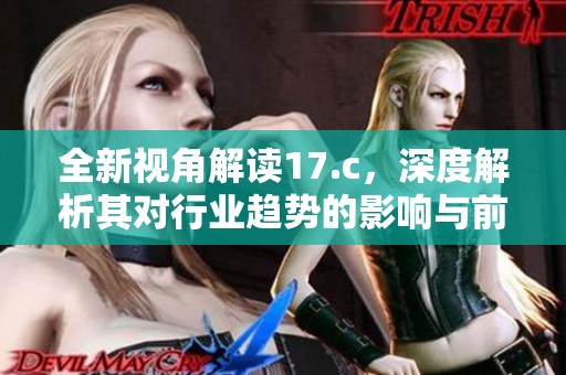 全新视角解读17.c，深度解析其对行业趋势的影响与前景展望