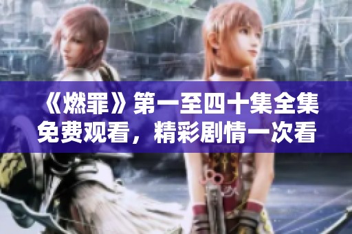 《燃罪》第一至四十集全集免费观看，精彩剧情一次看个够！