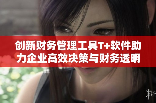 创新财务管理工具T+软件助力企业高效决策与财务透明化