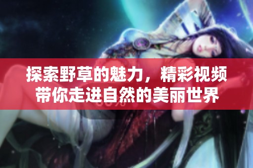 探索野草的魅力，精彩视频带你走进自然的美丽世界