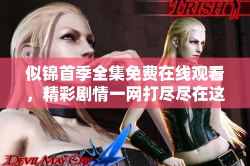 似锦首季全集免费在线观看，精彩剧情一网打尽尽在这儿