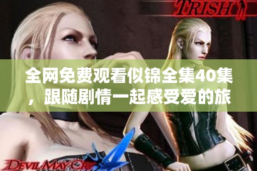 全网免费观看似锦全集40集，跟随剧情一起感受爱的旅程