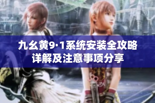 九幺黄9·1系统安装全攻略详解及注意事项分享