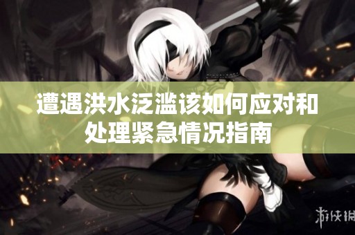 遭遇洪水泛滥该如何应对和处理紧急情况指南
