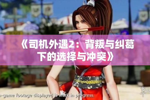 《司机外遇2：背叛与纠葛下的选择与冲突》
