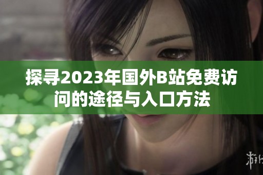探寻2023年国外B站免费访问的途径与入口方法