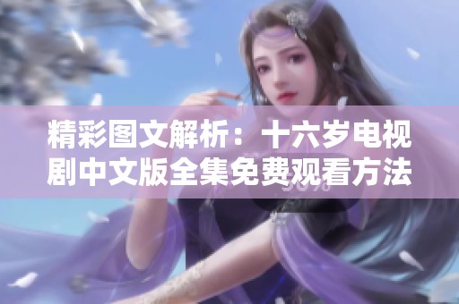 精彩图文解析：十六岁电视剧中文版全集免费观看方法与推荐