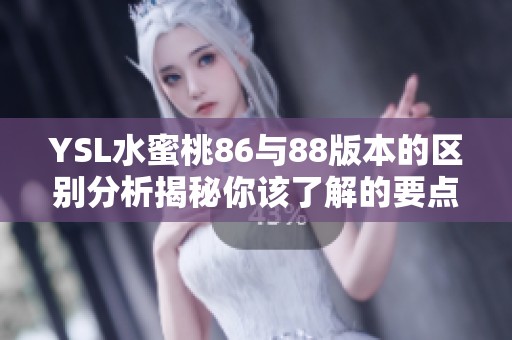YSL水蜜桃86与88版本的区别分析揭秘你该了解的要点