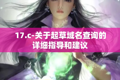 17.c-关于起草域名查询的详细指导和建议