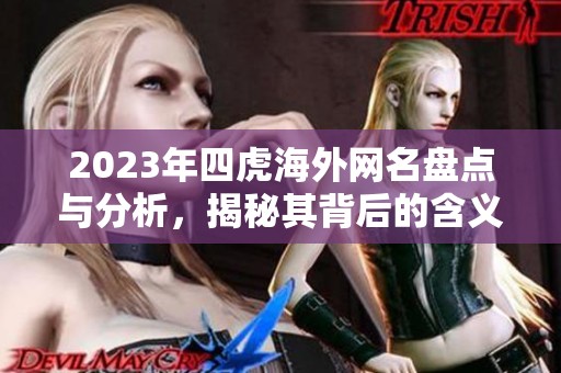 2023年四虎海外网名盘点与分析，揭秘其背后的含义与影响