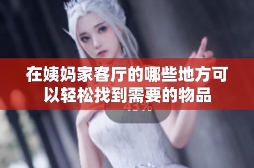 在姨妈家客厅的哪些地方可以轻松找到需要的物品