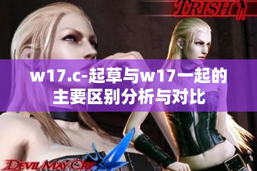 w17.c-起草与w17一起的主要区别分析与对比