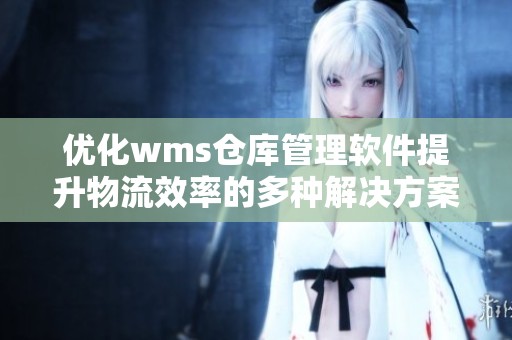 优化wms仓库管理软件提升物流效率的多种解决方案