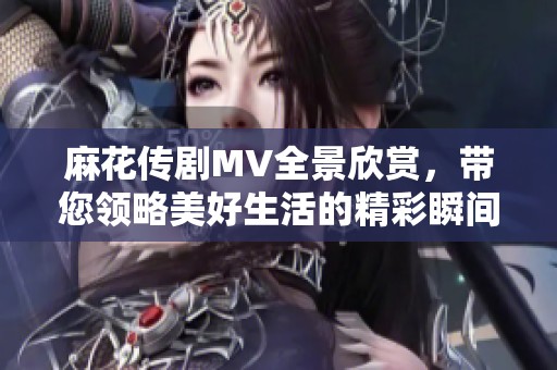 麻花传剧MV全景欣赏，带您领略美好生活的精彩瞬间