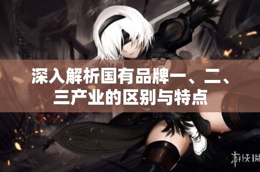 深入解析国有品牌一、二、三产业的区别与特点