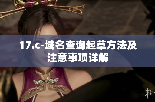 17.c-域名查询起草方法及注意事项详解