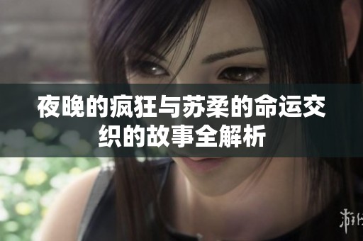 夜晚的疯狂与苏柔的命运交织的故事全解析