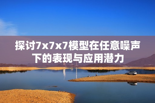 探讨7x7x7模型在任意噪声下的表现与应用潜力