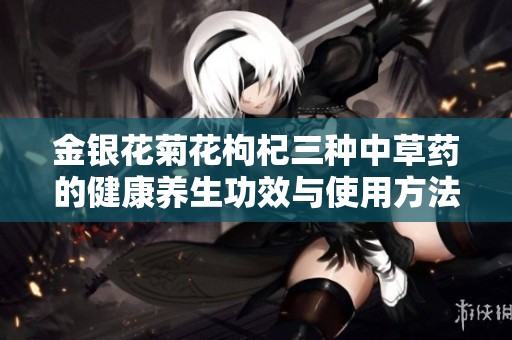 金银花菊花枸杞三种中草药的健康养生功效与使用方法探讨