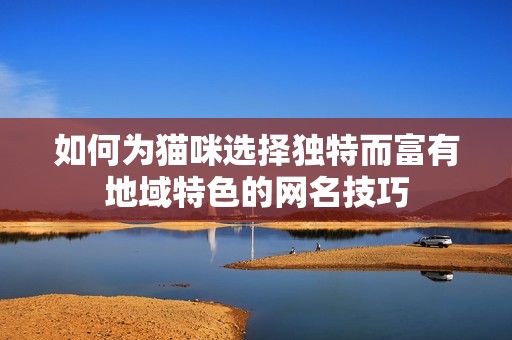 如何为猫咪选择独特而富有地域特色的网名技巧