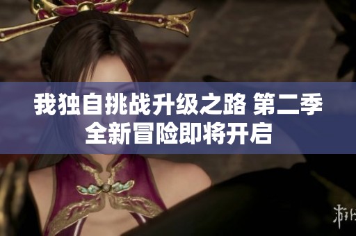 我独自挑战升级之路 第二季全新冒险即将开启