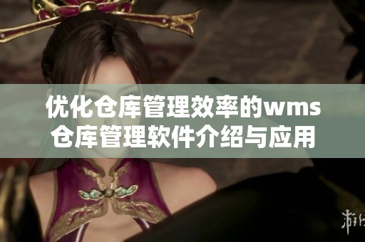优化仓库管理效率的wms仓库管理软件介绍与应用