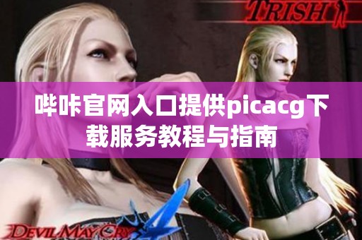 哔咔官网入口提供picacg下载服务教程与指南