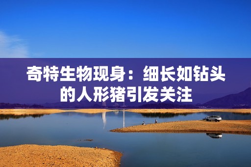 奇特生物现身：细长如钻头的人形猪引发关注