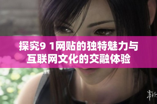 探究9 1网贴的独特魅力与互联网文化的交融体验
