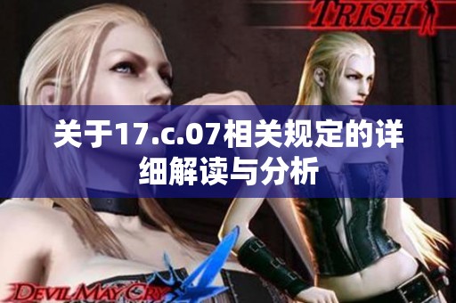 关于17.c.07相关规定的详细解读与分析
