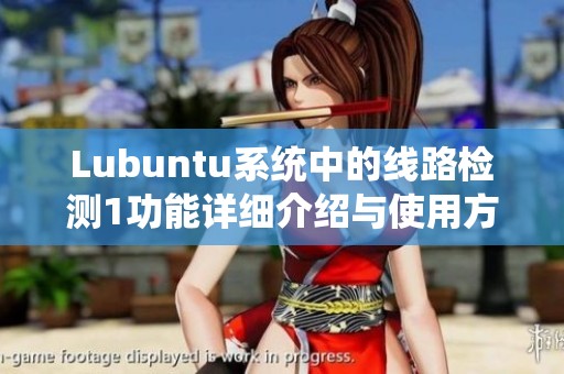 Lubuntu系统中的线路检测1功能详细介绍与使用方法解析