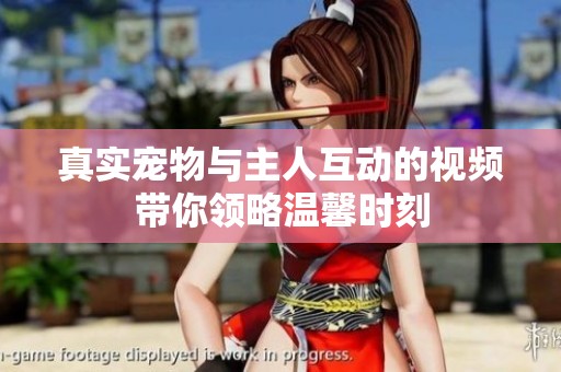 真实宠物与主人互动的视频带你领略温馨时刻