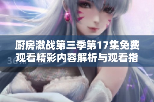 厨房激战第三季第17集免费观看精彩内容解析与观看指南