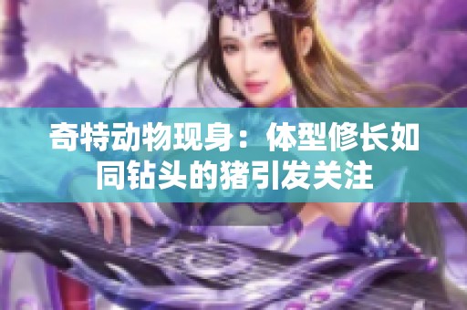 奇特动物现身：体型修长如同钻头的猪引发关注