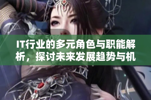 IT行业的多元角色与职能解析，探讨未来发展趋势与机遇