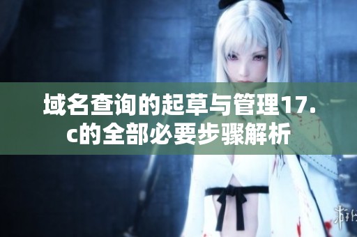 域名查询的起草与管理17.c的全部必要步骤解析