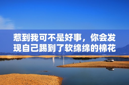 惹到我可不是好事，你会发现自己踢到了软绵绵的棉花球